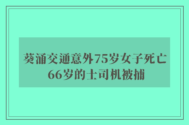 葵涌交通意外75岁女子死亡 66岁的士司机被捕