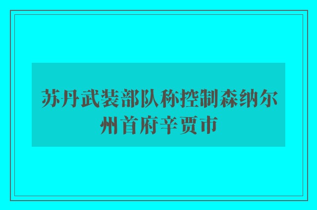 苏丹武装部队称控制森纳尔州首府辛贾市