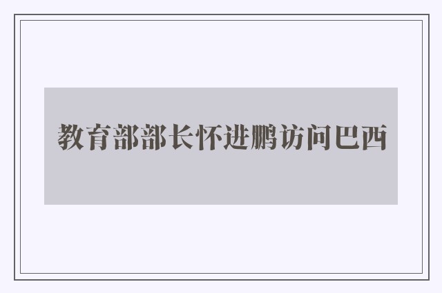 教育部部长怀进鹏访问巴西