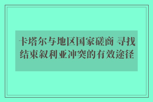 卡塔尔与地区国家磋商 寻找结束叙利亚冲突的有效途径