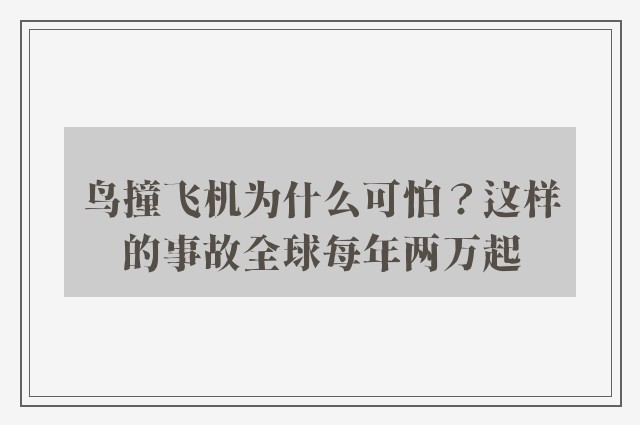 鸟撞飞机为什么可怕？这样的事故全球每年两万起