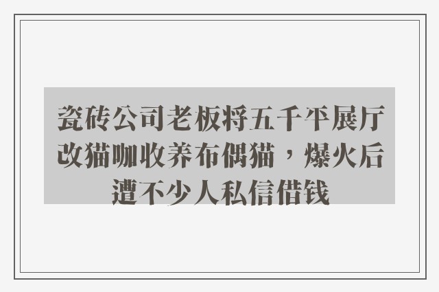 瓷砖公司老板将五千平展厅改猫咖收养布偶猫，爆火后遭不少人私信借钱