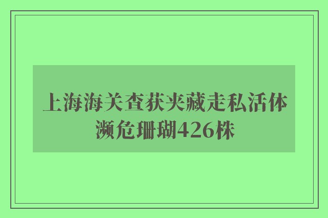 上海海关查获夹藏走私活体濒危珊瑚426株