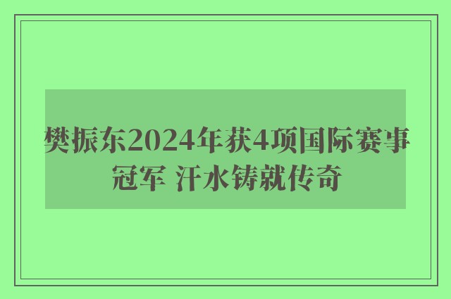 樊振东2024年获4项国际赛事冠军 汗水铸就传奇