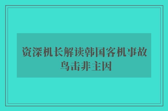 资深机长解读韩国客机事故 鸟击非主因