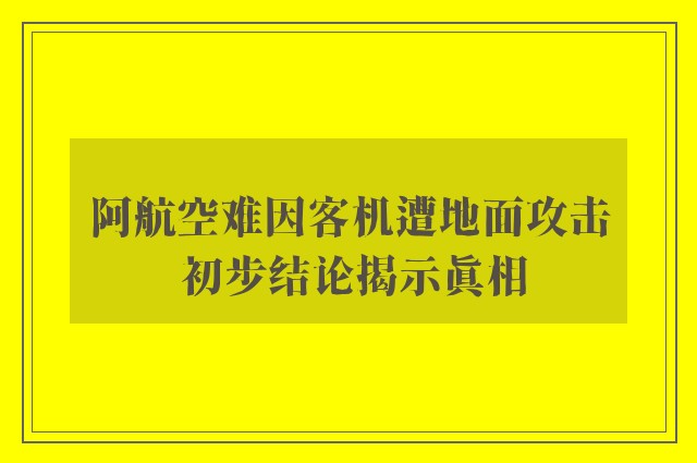 阿航空难因客机遭地面攻击 初步结论揭示真相